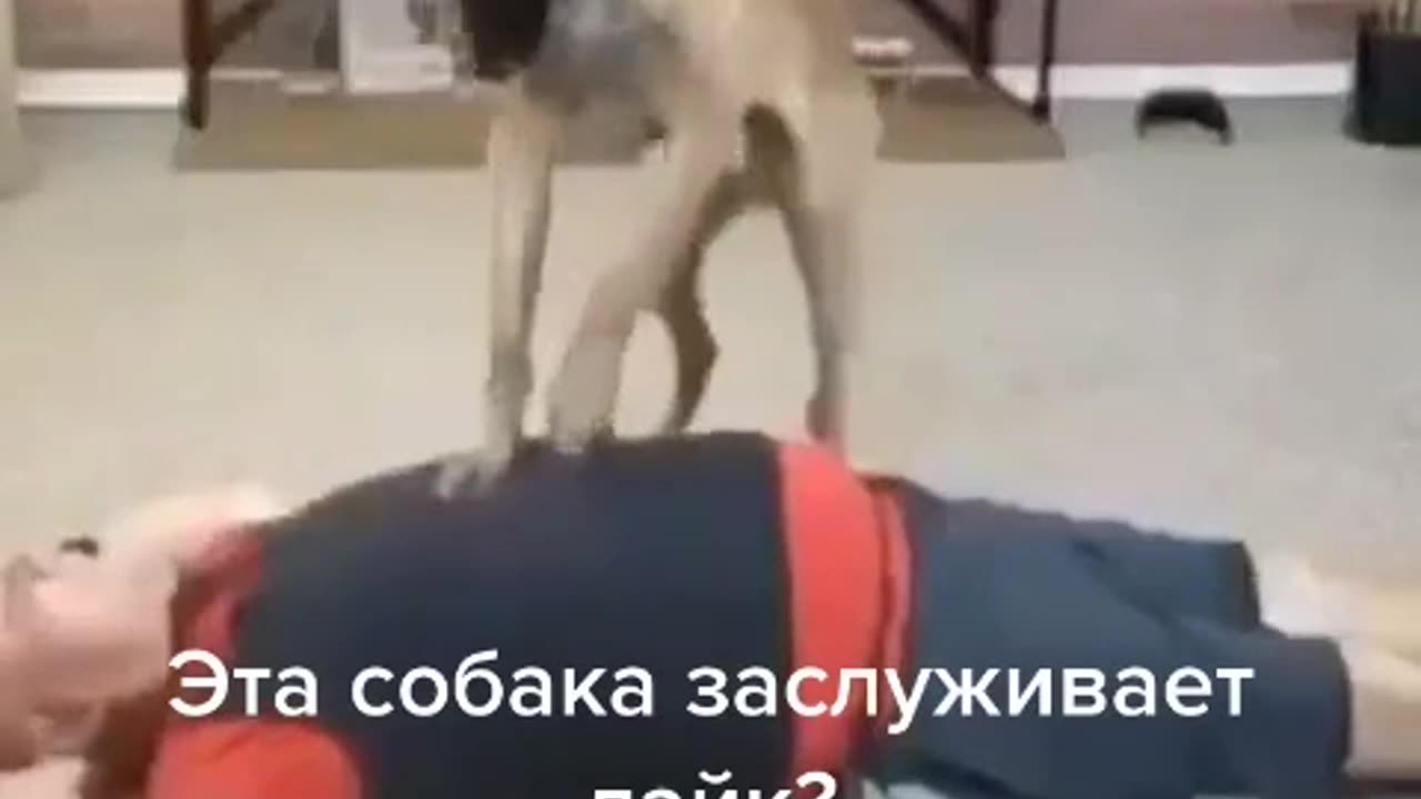 doctor!!!!!!!!!!
