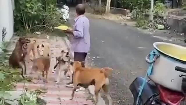 Nice Caring People Still Exist...