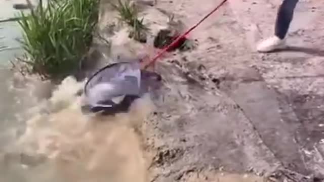 Best Asian Fishing Technique