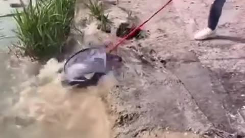 Best Asian Fishing Technique