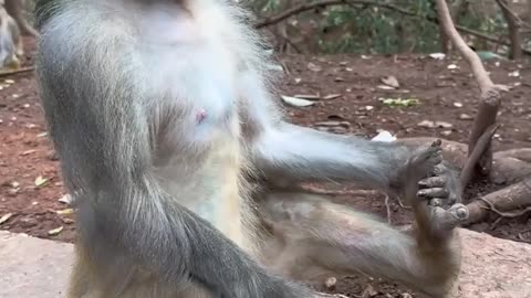 Money doing meditation