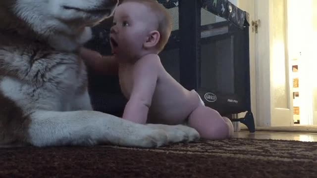 baby and doggy are best of friends