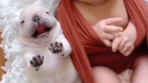 So cute puppy with baby, baby baby