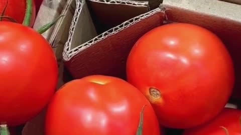 The CONSEQUENCES of eating TOMATOES every day | Health & Nutrition