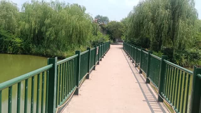 This iron bridge leads to the depths of the forest