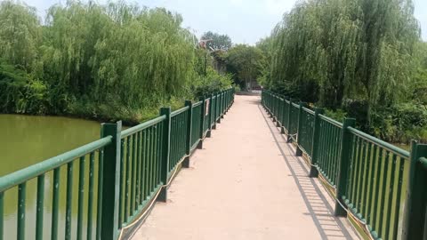 This iron bridge leads to the depths of the forest