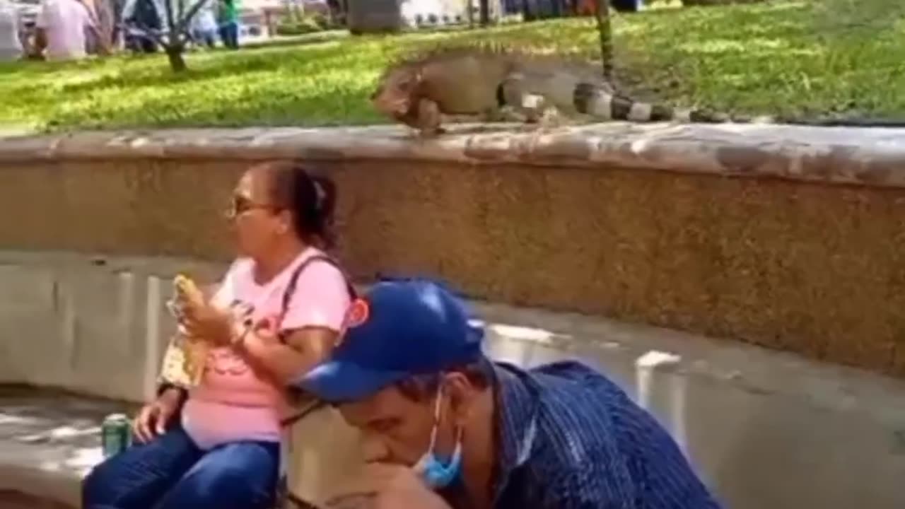 Funny animal video 🤣😂