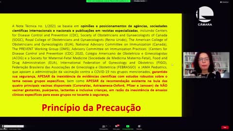 Audiencia na Câmara deputados, Especialistas Alertam Sobre Risco do passaporte V@acinação 12