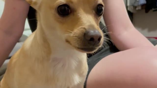 Umm…no .... heheheheh