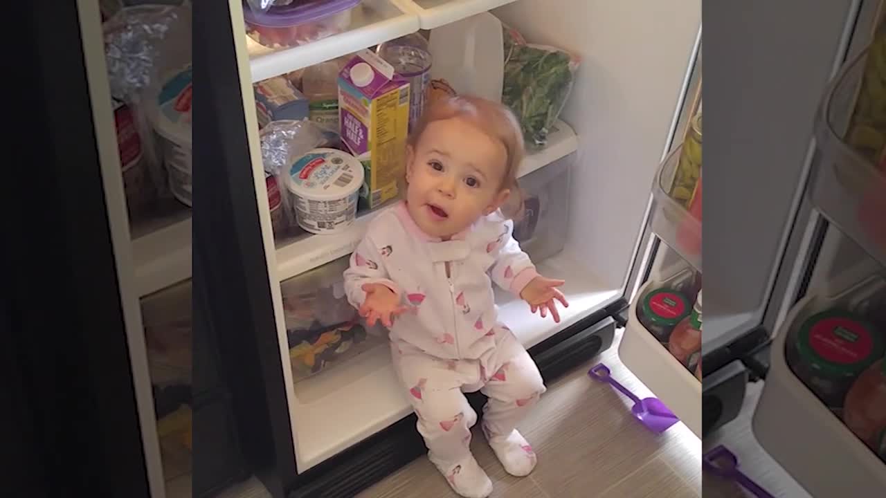 Cute babies caught in the fridge