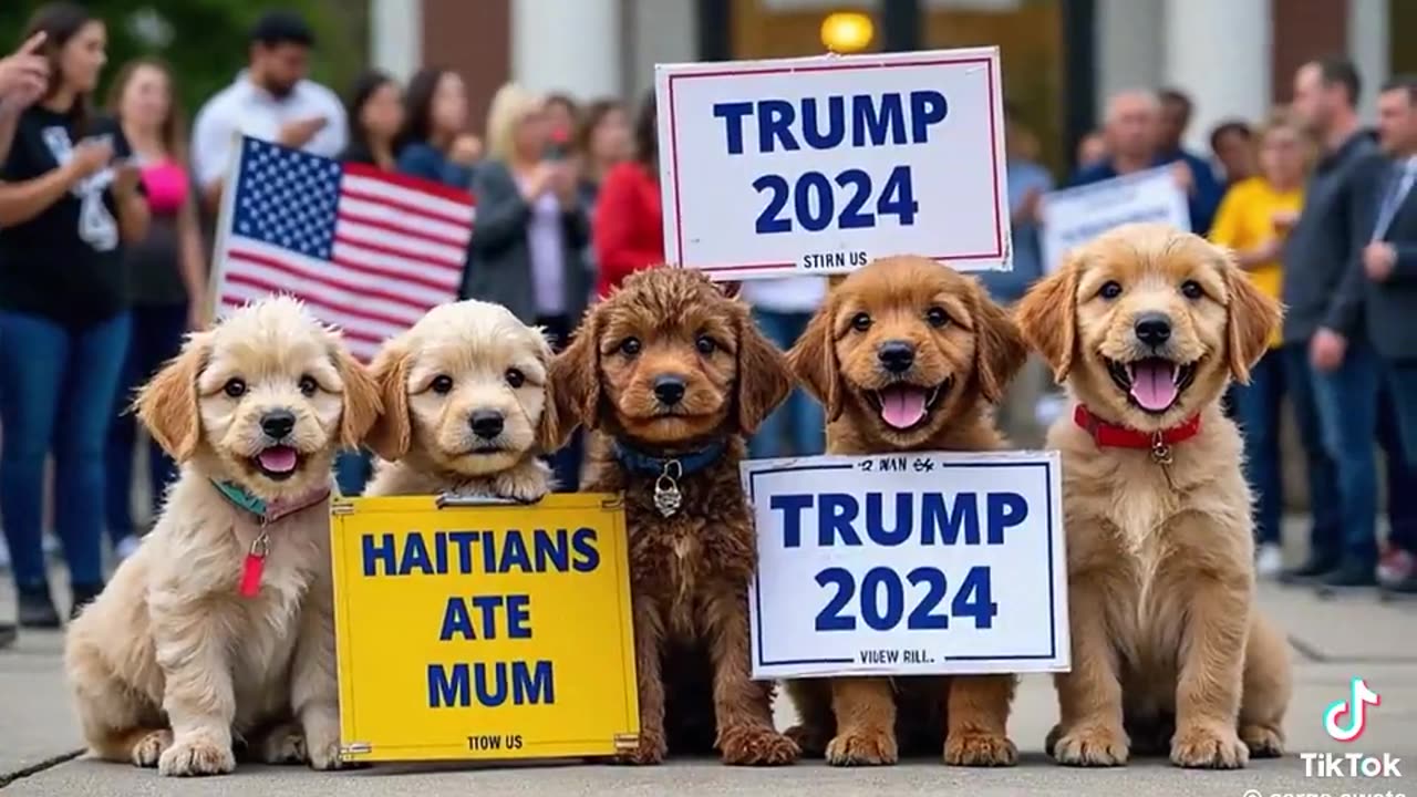 Cats And Dogs Have Spoken