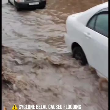 🔍 Digest January 15, 2024