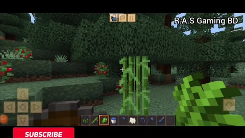 Gaming video : Minecraft |