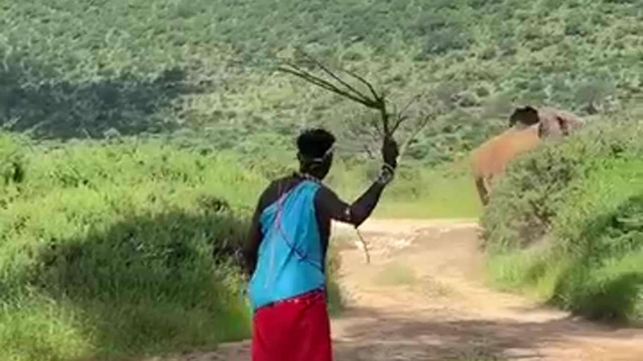 Maasai Warrior vs a Charging Elephant 🐘