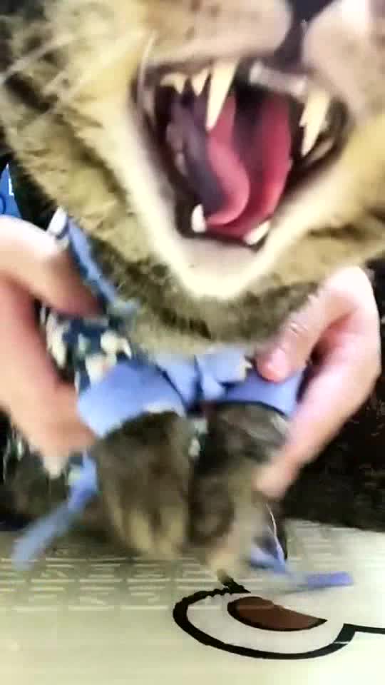 I don't wanna dance, you make me angry