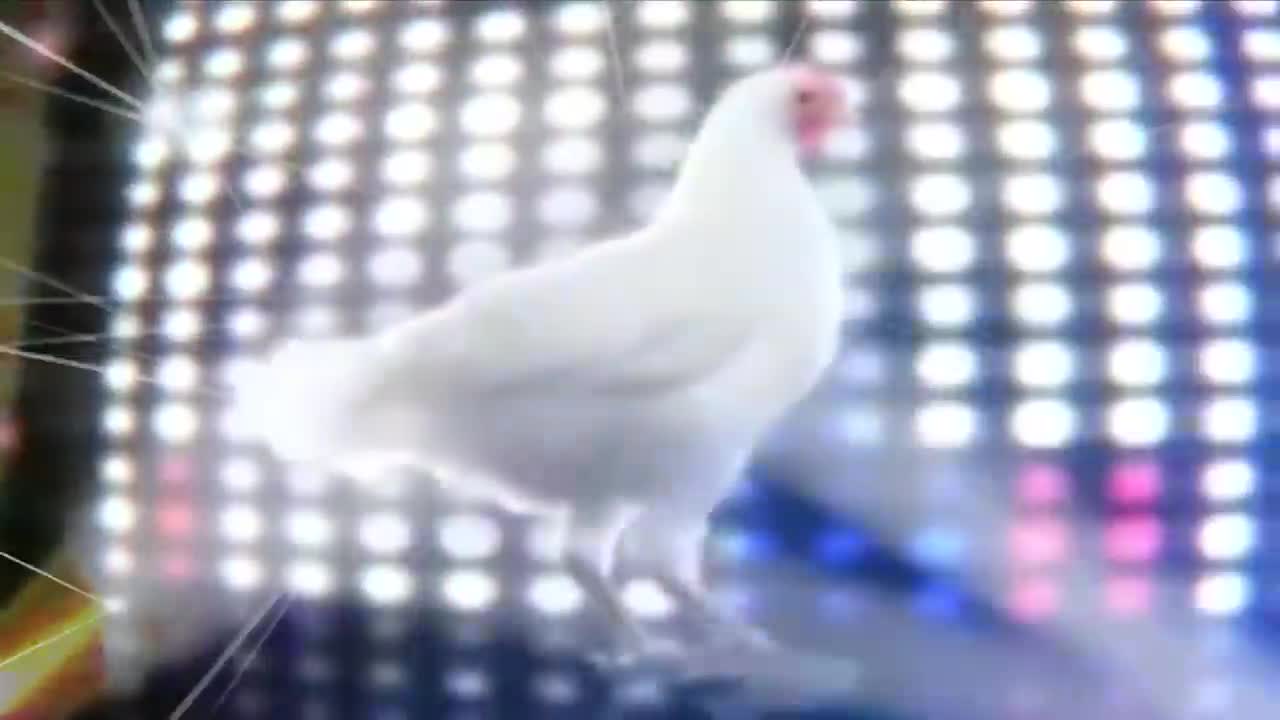 A LOS PERROS DE VERDAD LES GUSTA EL POLLO FRITO! 😂🍗 | MIKECRACK CANCIONES