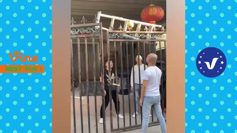 Funny videos