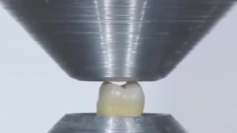 The strength of a human tooth