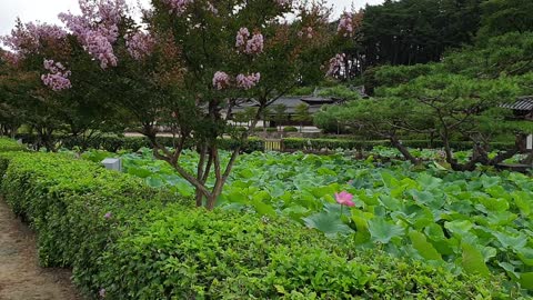 Oriental mansion