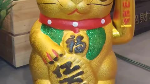 China Cat