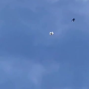 Mouvements splendides