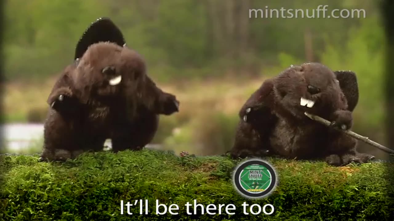 Rockydennis Presents the Mint Snuff Chew Ad