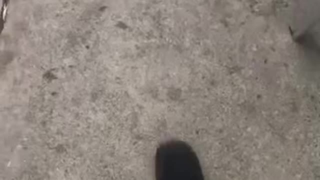 This man went live to report on his friend he hasn’t heard from in three days