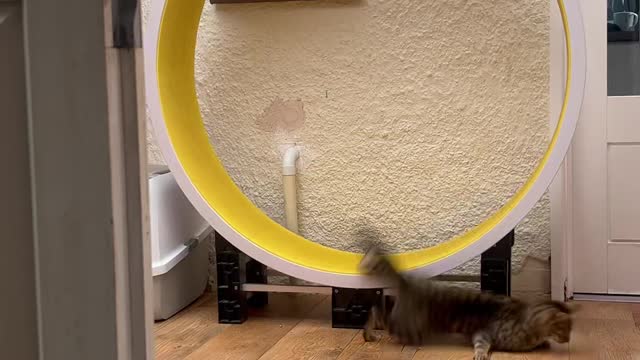 fall after rest 🤦🏻♂️😂😂