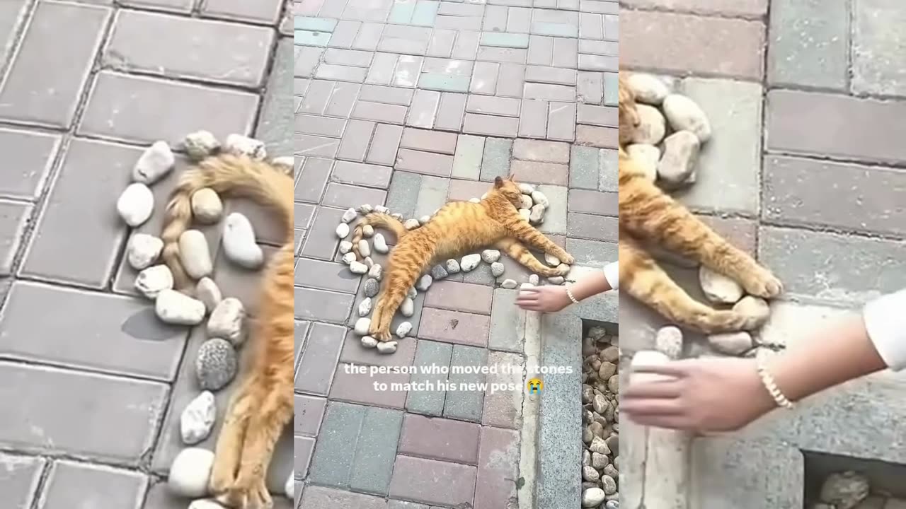 Kittyo art on a Monday morning and some nice vibes playing