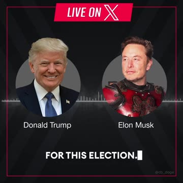 Elon Musk On Donald Trump