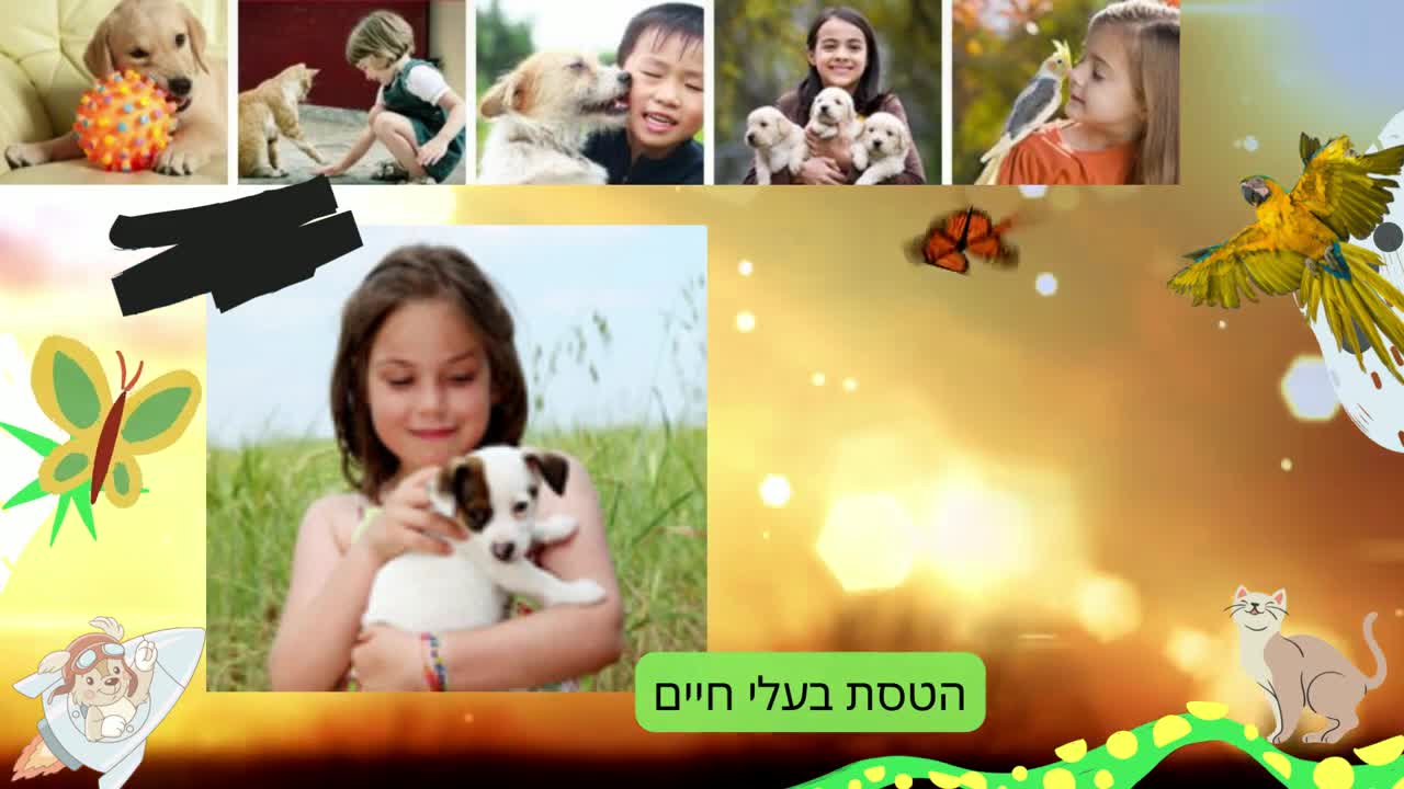 הטסת בעלי חיים