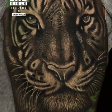 Tattoo Cover-Up 😮