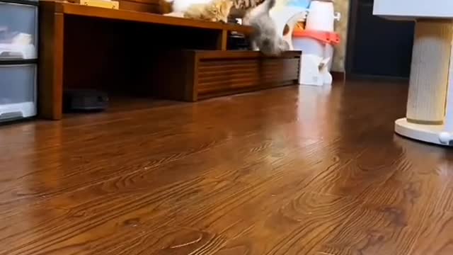 Out of curiosity, I took a closer look