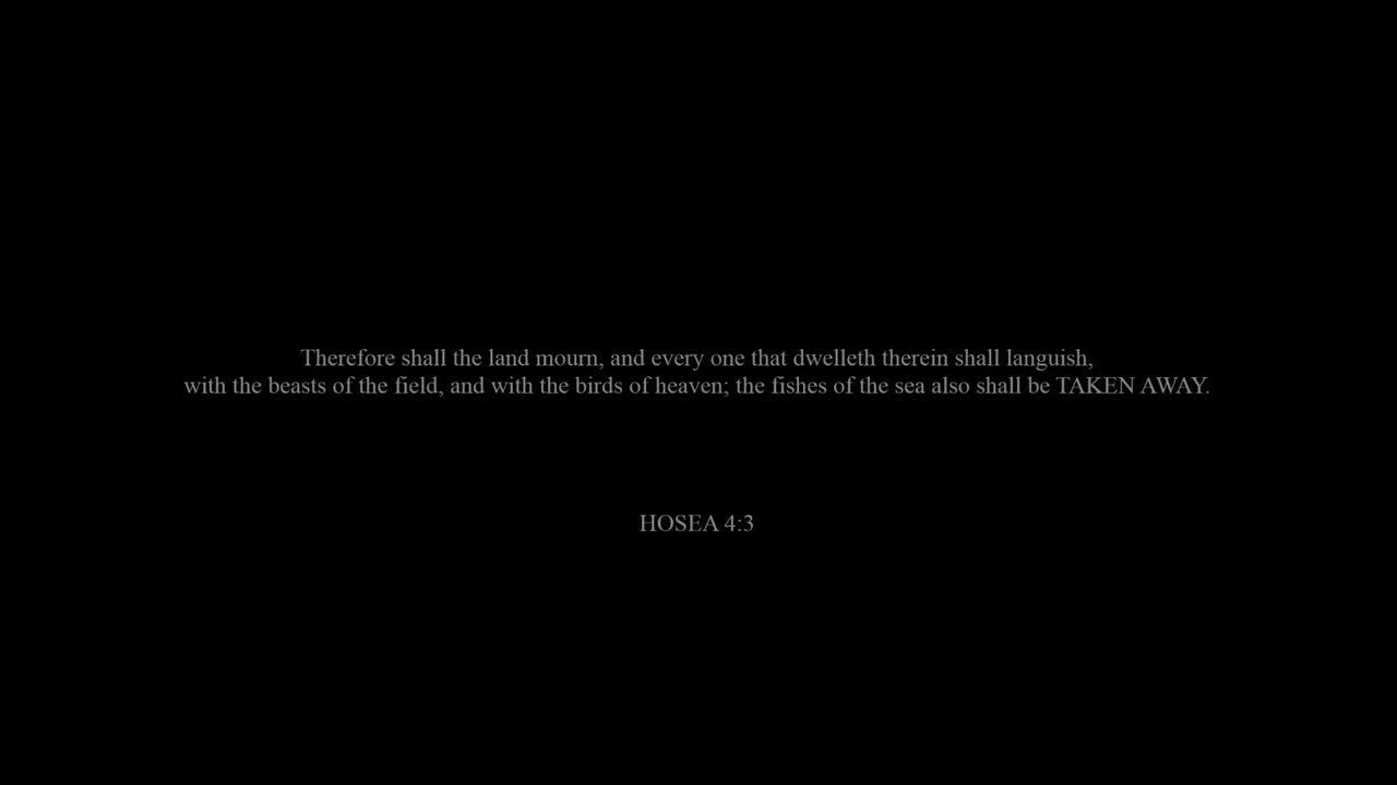 Youve been left behind Larry Norman Will you be left behind?