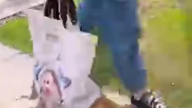 cute animals funny videos I found on Instagram Tiktok