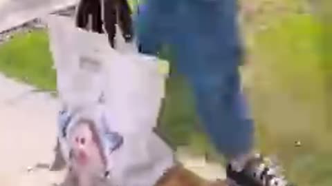 cute animals funny videos I found on Instagram Tiktok