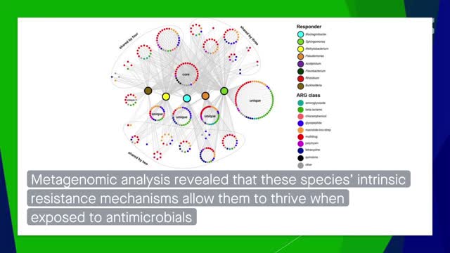 Antimicrobial-specific response