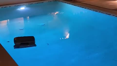 The Ultimate Robotic Pool Cleaner!