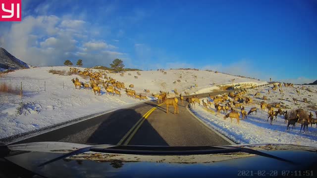 Typical morning drive in Colorado!