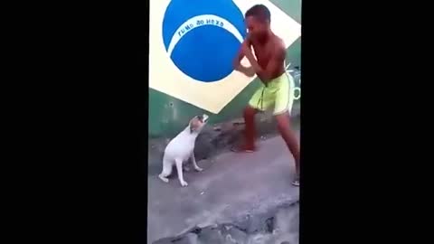 Cachorro dançando com seu dono S2