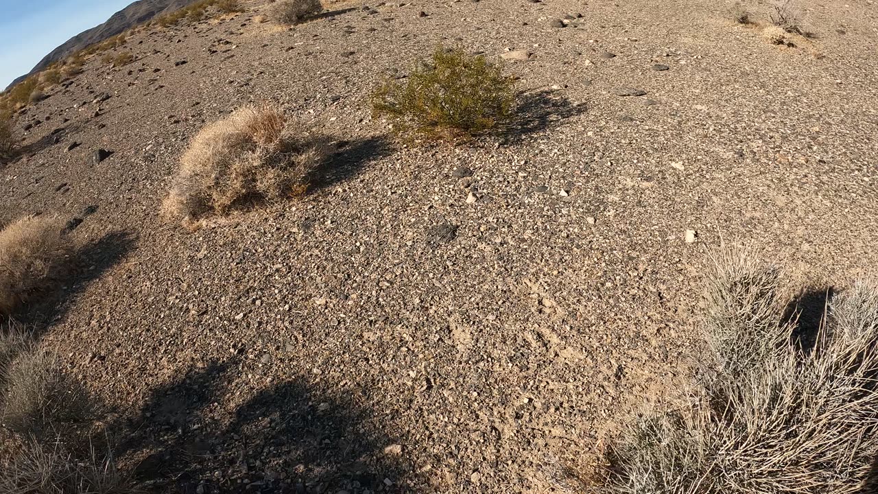 Hiking - Shadow Mountain, Pahrump, NV 89060 - 20241021GX010098 Rodent