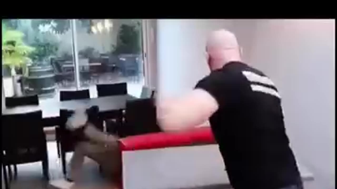 Self Defense Techniques