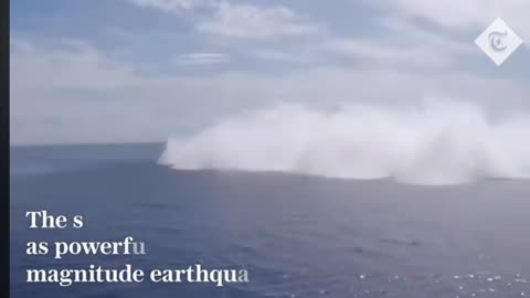 Us Navy killing Atlantic ocean wild life
