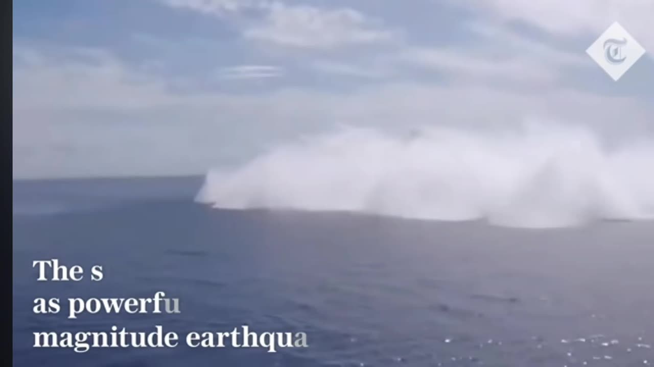 Us Navy killing Atlantic ocean wild life
