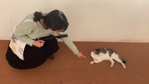 a cat and a girl trying to connect with a cat in her way