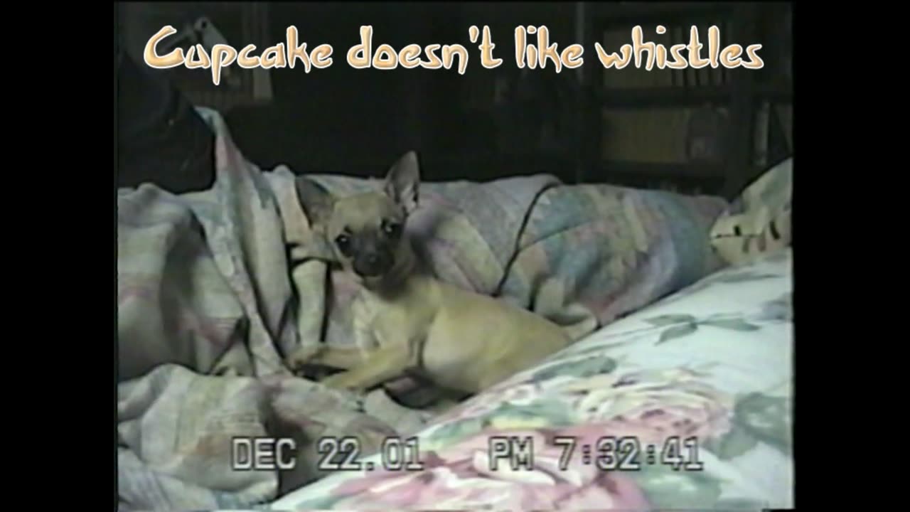 Cupcake Doesn't Like Whistles