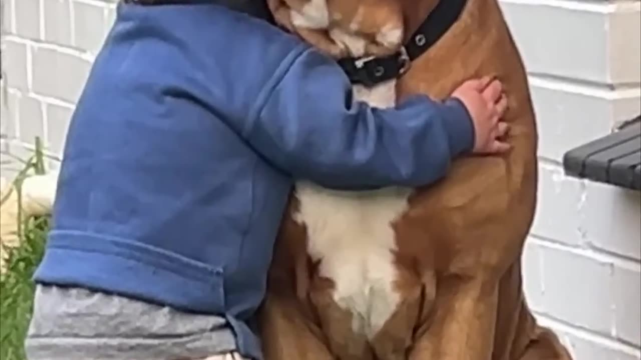 Heartwarming Moment as Child Embraces Dog Companion