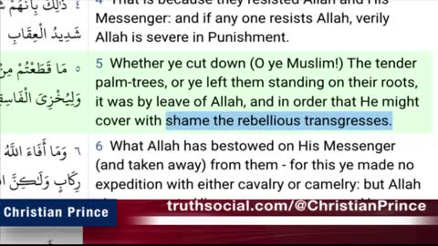 Christian Prince - Hamza Yusuf & Jordan Peterson it is time to lie to each other