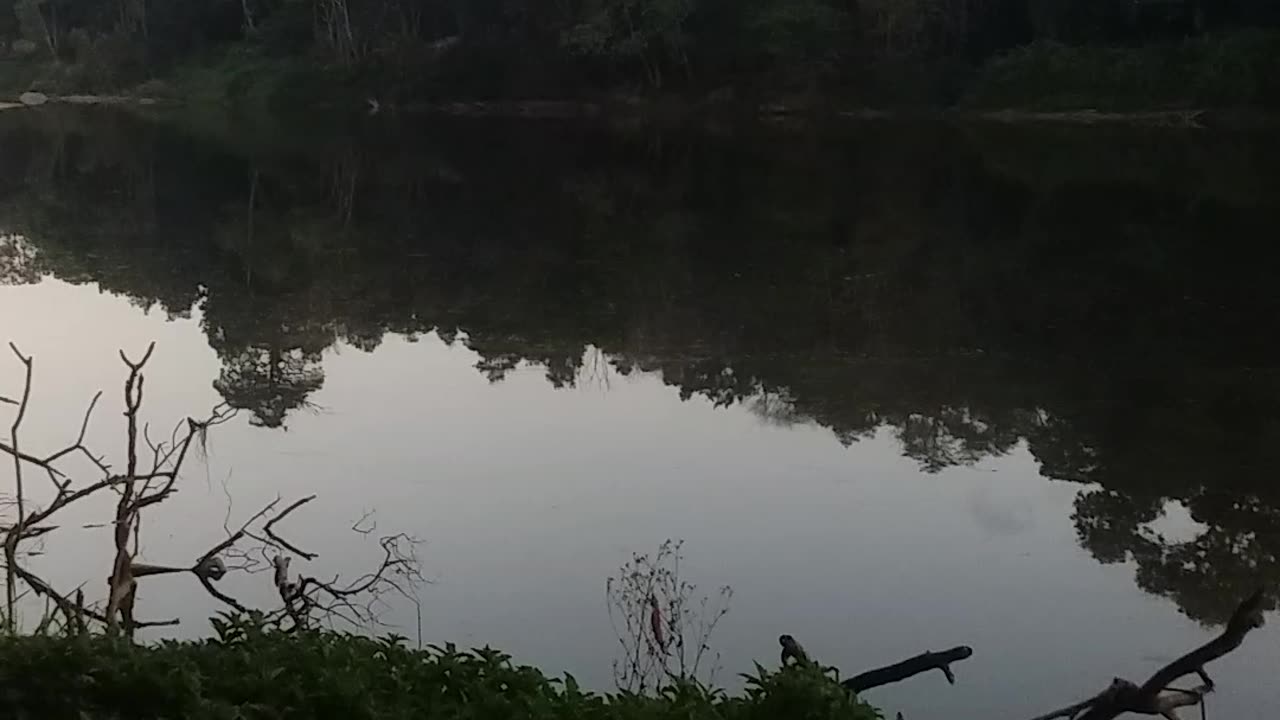 24.9.2024 The Barron River, Kuranda