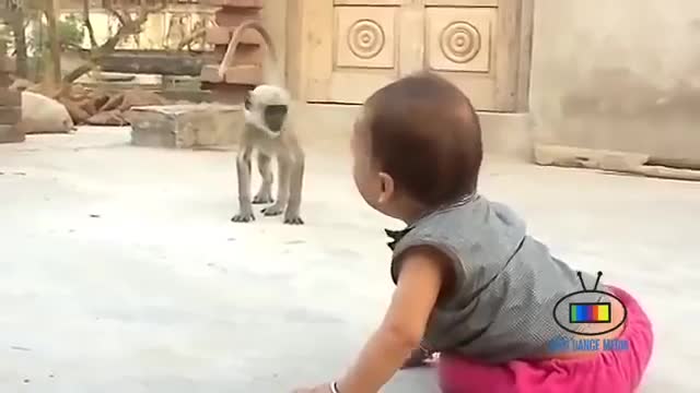 Funny child vs monkey fight